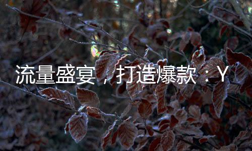流量盛宴，打造爆款：Y3創(chuàng)作星秀計(jì)劃1月15日正式開啟